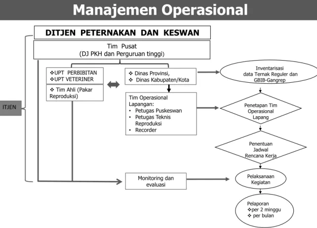 Gambar 2. Skema Manajemen Operasional 