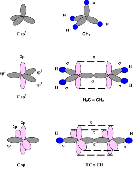 Gambar 1.2  Hibridisasi Atom Karbon dan Contoh Senyawanya 