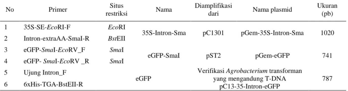 Tabel 1 Daftar primer yang digunakan dalam konstruksi vektor pC-35S-Intron-Sma 