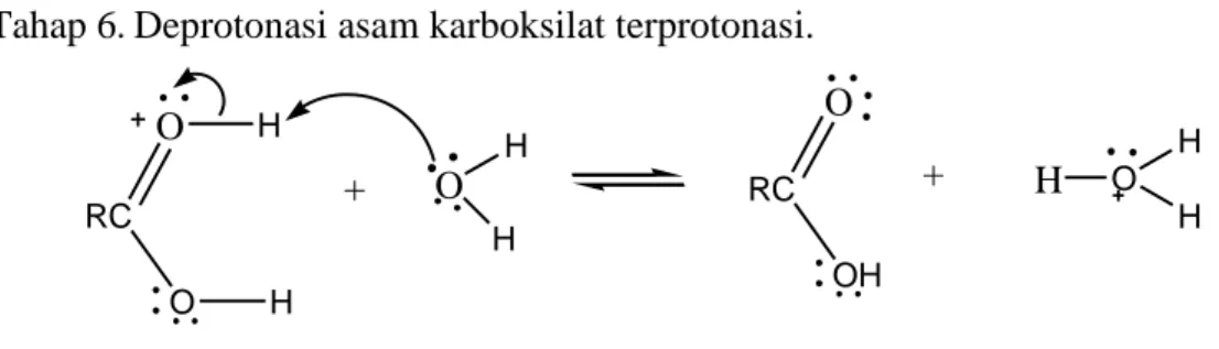 Gambar 8. Mekanisme hidrolisis asam (Carey, 2000). 