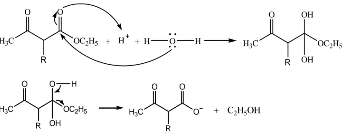 Gambar 10. Mekanisme hidrolisis basa dari etil asetoasetat 