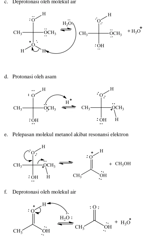 Gambar  7.  Mekanisme  Reaksi  Hidrolisis  dan  Pembentukan  Ester  Terkatalis  Asam (Miller &amp; Solomon, 1999)