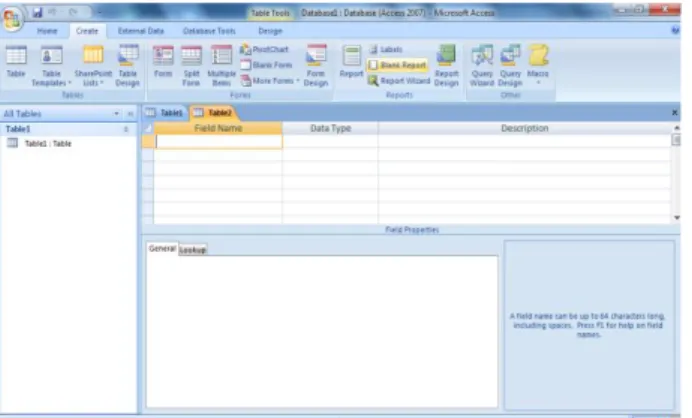 Gambar 4 Field database kosong Microsoft Office Access 2007 