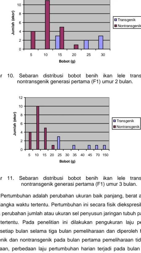 Gambar  10.  Sebaran distribusi bobot benih ikan lele transgenik  dan    nontransgenik generasi pertama (F1) umur 2 bulan
