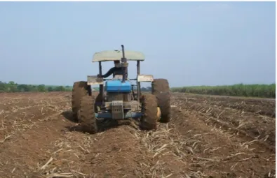Gambar 11. Pemadatan  tanah dengan ban traktor 