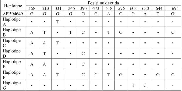 Tabel 1. Situs Polimorfik Intron satu gen Rhodopsin Nukleus dibandingkan dengan                  GenBank dengan nomer akses AF.394649 DDBJ  Jepang 