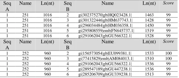 Tabel 3.  Hasil Multiple Alignment Sequences (MSA) Isolat Bakteri Kode 251 dan 252   Seq  A  Name  Ln(nt)  Seq B  Name  Ln(nt)  Score  1  251  1016  2  gi|302375270|gb|HQ023428.1|    1463  99  1  251  1016  3  gi|301322446|gb|HM637743.1|  1428  99  1  251 