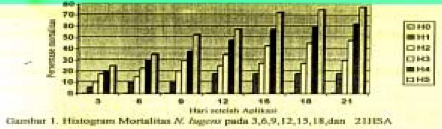 Tabel 3. Rata-rata Intensitas Serangan N.lugens (%) dari  Hasil  Uji Jarak Duncan Pada Masing-masing Perlakuan