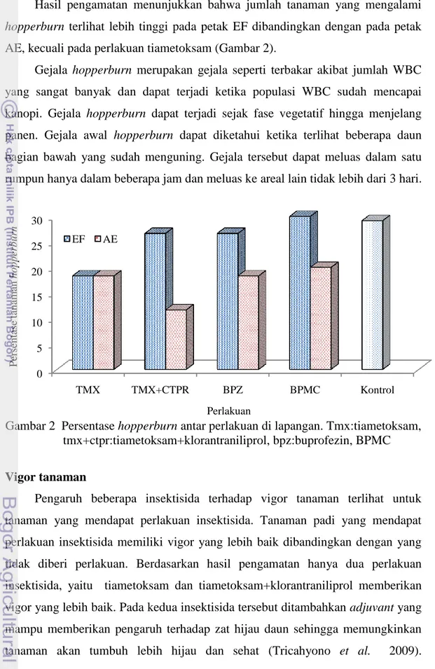 Gambar 2  Persentase hopperburn antar perlakuan di lapangan. Tmx:tiametoksam,             tmx+ctpr:tiametoksam+klorantraniliprol, bpz:buprofezin, BPMC