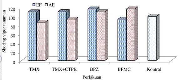 Gambar 3  Pengamatan vigor tanaman antar perlakuan di lapangan. Tmx: 