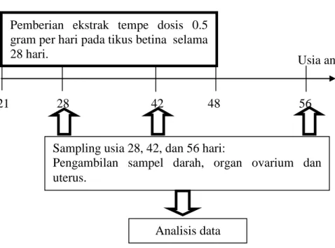 Gambar 2 Bagan pelaksanaan penelitian  Analisis Data 