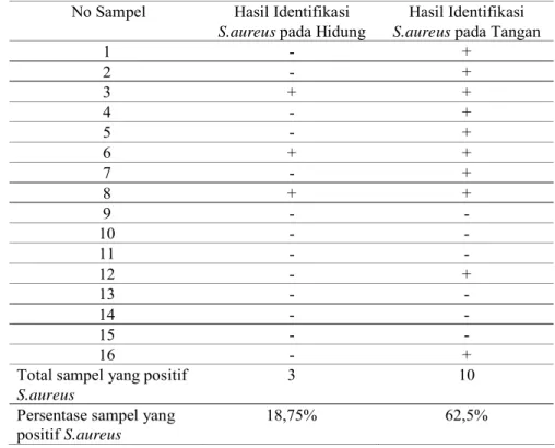 Tabel 1  Identifikasi S.aureus pada Hidung dan Tangan Perawat Ruang Perawatan Bedah Cendrawasih I RSUD Arifin Achmad Pekanbaru