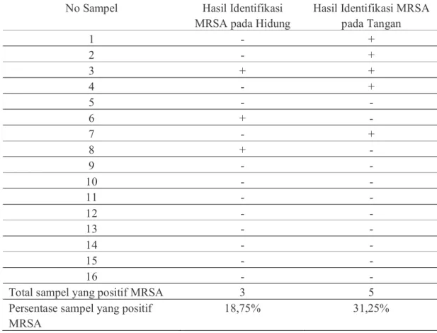 Tabel 4  Identifikasi MRSA pada Hidung dan Tangan Perawat Ruang Perawatan Bedah  Cendrawasih I RSUD Arifin Achmad Pekanbaru