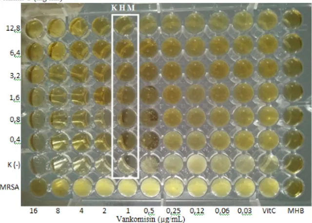 Gambar  1.  Hasil  Kombinasi  Vankomisin  dan  Vitamin C 