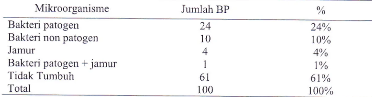 Table  4 di  atas  rnenunjukkan  bahwa  dari 100  BP  berupa  sputum  yang  diperoleh  dari Ruang Rawat  Inap  dan Rawat  Jalan  Paru yang  dikirim  ke Lab