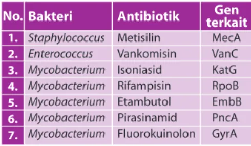 Tabel  1.  Gen  yang  terkait  dengan  resistensi bakteri terhadap antibiotik