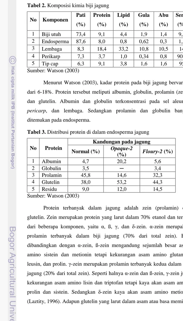 Tabel 3. Distribusi protein di dalam endosperma jagung 