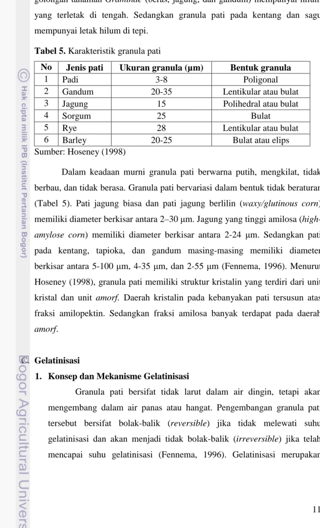 Tabel 5. Karakteristik granula pati 