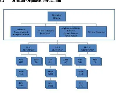 Gambar 3.1  Struktur Perusahaan 