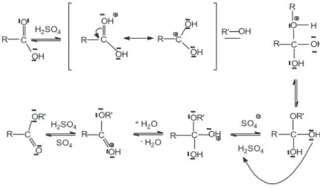 Gambar 1. Mekanisme reaksi esterifikasi dengan  katalis asam sulfat 