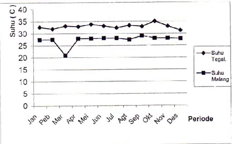 Gambar 3.  Rata-rata Suhu Maksimum Selama Musim Tanam Bawang  Merah di Daerah Tegal ( Tahun 1990/1991 ) dan Daerah  Karangploso, Malang (Tahun 2000) 