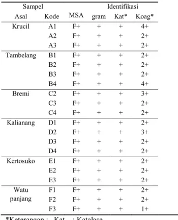 Tabel 1.  Isolasi  dan  Identifikasi  Staphylococcus  aureus 