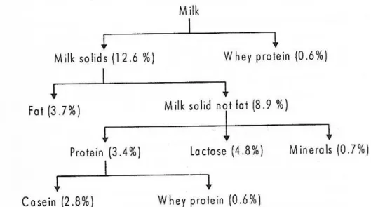 Gambar 2.1. Bagan komposisi kimia susu  (Sumber: Singh et al., 2006) 