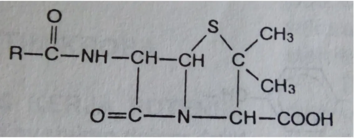 Gambar 2.2. Struktur kimia Penisilin (Istiantoro dan Vincent, 2003) 
