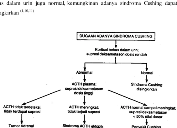 Gambar 13.  Evaluasi  diagnosis  sindroma  Cushing  dan  prosedur-prosedur  untuk  menentukan  penyebabnya