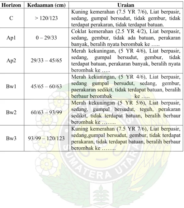 Tabel 2. Morfologi Pedon 1 