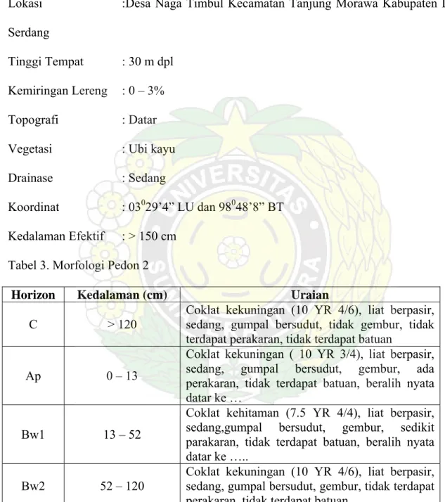 Tabel 3. Morfologi Pedon 2 