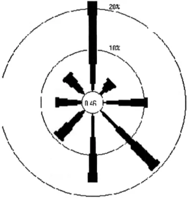 Gambar  tersebut  dinamakan cilia angin. Arah  radial menunjukkan  arab bertiupnya angin, lingkaran-lingkaran menunjukkan frekuensi kejadian angin untuk tiap  sektor dan ketebalan garis menunjukkan  rentang kecepatan  dalam knot [2].