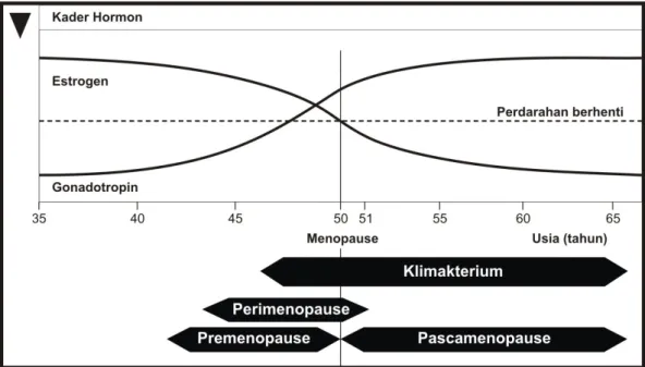 Gambar 2. 6 Perubahan kadar hormon seks dari kematangan seksual sampai  pascamenopause (dikutip dari Baziad, 2003)