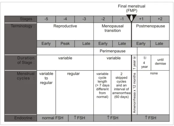 Gambar 2. 7 Stages of Reproductive Aging Workshop (STRAW) (Adapted from Soules MR et al., 2001)