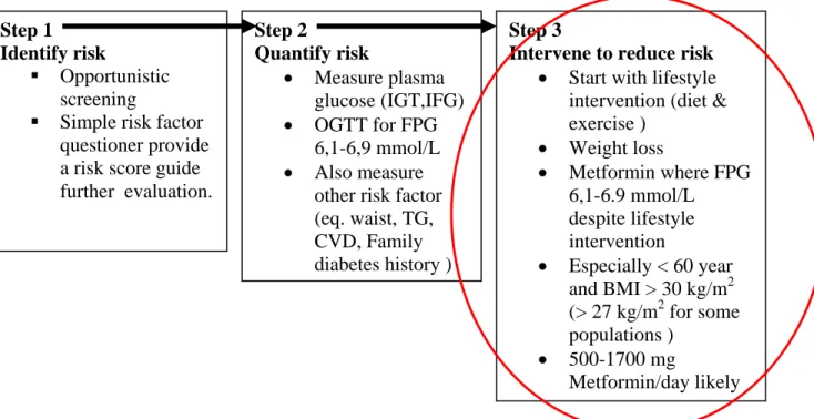 Gambar 3.  Tiga pilar pencegahan diabetes mellitus menurut IDF 2007 24Step 1 