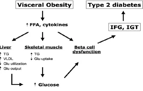 Gambar 2. Patogenesis Intoleransi glukosa pada penderita obes. 7