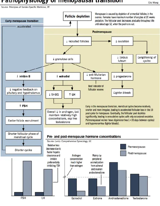 Gambar 2.7. Patofisiologi Transisi Menopause (Dull, 2009)  II.4.4. Gejala Menopause  
