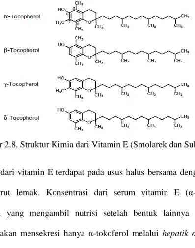Gambar 2.8. Struktur Kimia dari Vitamin E (Smolarek dan Suh, 2011)  Absorpsi  dari  vitamin  E terdapat  pada  usus  halus  bersama  dengan  nutrisi  lainnya  yang  larut  lemak