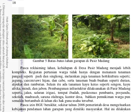 Gambar 5 Batas-batas lahan garapan di Pasir Madang 
