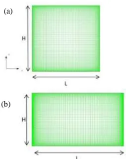 Gambar 1. Skema model dan grid bentuk cetakan es  dua dimensi (a) bujur sangkar (b) persegi  panjang 