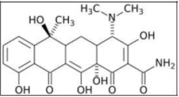 Gambar  Struktur kimia Tetracyclin. 
