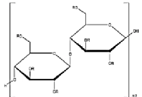 Gambar 2. Struktur HPMC (Rowe dkk., 2009) 