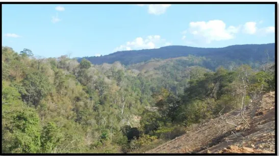 Gambar 2. Kenampakan satuan bentangalam pegunungan terjal di foto dari daerah PT. Panca Logam  Makmur disekitar stasiun 5 pada arah N 168 o  E
