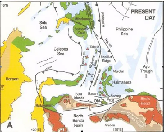 Gambar 1. Tektonik Laut Maluku dan sekitarnya (Hall, 1999)