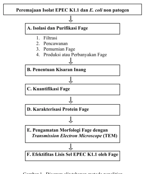 Gambar 1   Diagram alir tahapan metode penelitian  