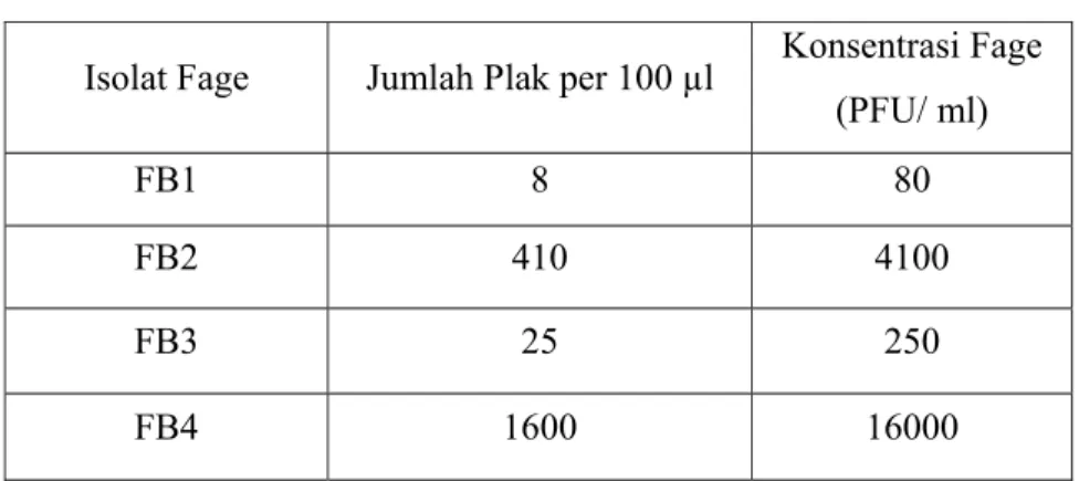 Tabel 1  Hasil kuantifikasi dari keempat isolat fage     Isolat Fage  Jumlah Plak per 100 µl  Konsentrasi Fage 