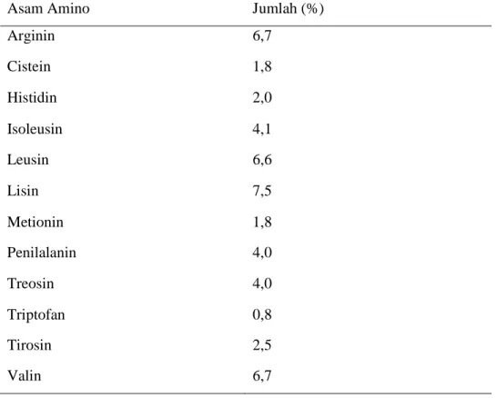Tabel 3. Komposisi asam amino daging ayam 