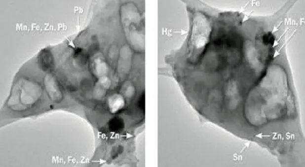 Gambar 2.  Contoh partikulat di udara di atas Kota Mexico, setelah dianalisa mengandung logam mangan (Mn), besi (Fe), seng  (Zn), timah, timbal (Pb), dan merkuri (Hg) 