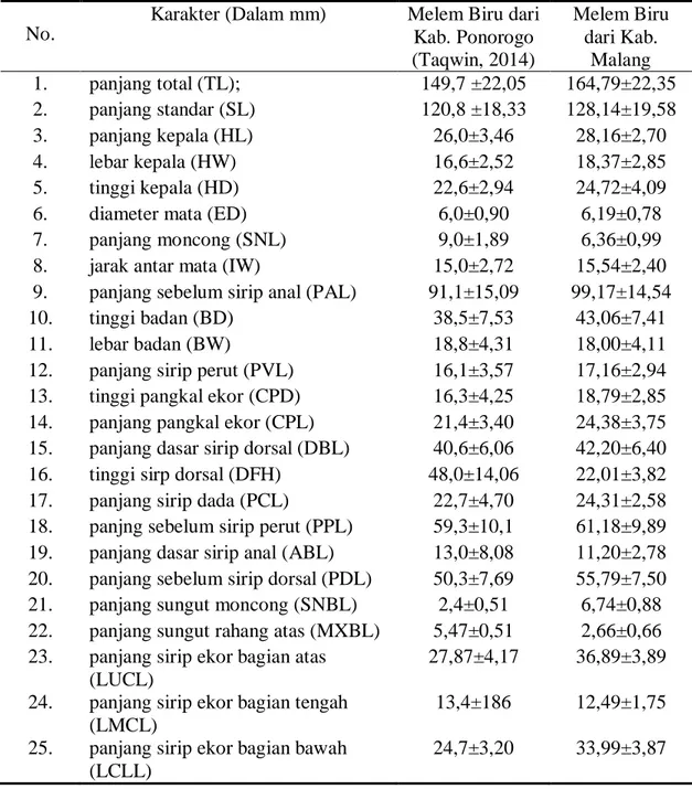 Tabel 1 Hasil morfometri ikan Melem Biru dari Kab. Ponorogo dan Kab. 