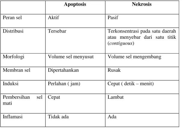 Tabel 2.1 : Perubahan sel akibat apoptosis dan nekrosis 
